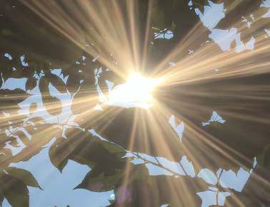 春节倒计时的唯美句子 过年倒计时说说朋友圈