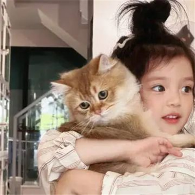 超爱的宝藏情头甜到心坎 超甜的幸福宠溺情头