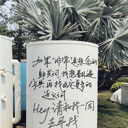 积攒了很久好看的朋友圈配图 2024超火的气质配图