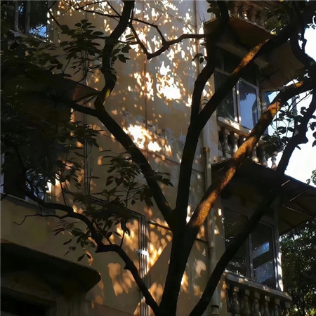 深色系背景图可以用很久气质爆棚 有些回忆注定只能在心中回味