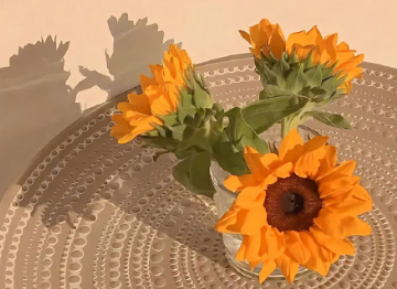 永远叫不醒一个装睡的人经典语录 伤感语录大全致自己 永远叫不醒一个装睡的人经典语录 伤感语录大全致自己