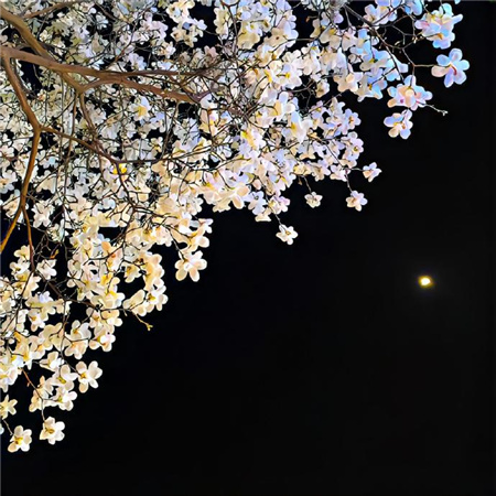 暗含浪漫不会撞款深色系配图 能理解我情绪的人像是我的救命稻草