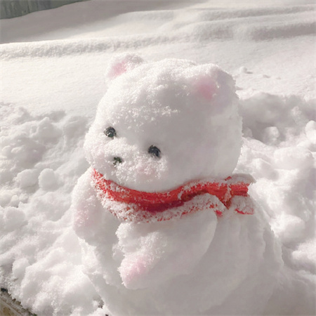 2024好看简约又吸睛的配图 人总是喜欢反季节的事物