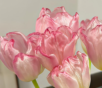 2024最新热门自拍的朋友圈文案句子 全网最火的文案自拍 2024最新热门自拍的朋友圈文案句子 全网最火的文案自拍