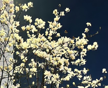 2024最新热门自拍的朋友圈文案句子 全网最火的文案自拍 2024最新热门自拍的朋友圈文案句子 全网最火的文案自拍