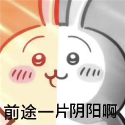 小众实用表情超有趣 很火爆的微信表情2024版