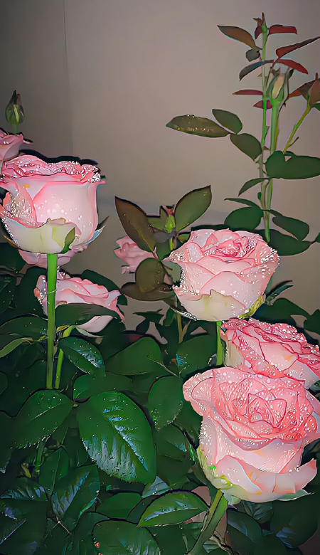 锁屏壁纸2024新款很宝藏 超火热的壁纸元气招人喜欢