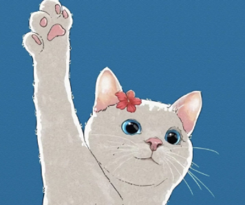 天花板级别的写进心底的网名 温柔干净的昵称大全