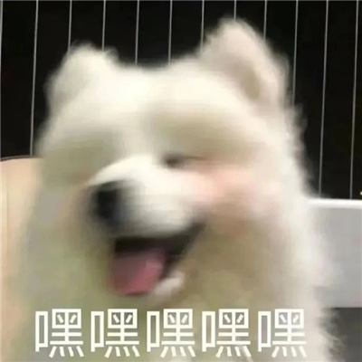 2024搞怪十分可爱的表情 谁是傻b我不说