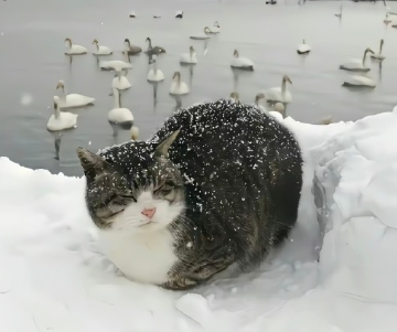 快乐其实很简单的说说 原来快乐如此简单的说说 快乐其实很简单的说说 原来快乐如此简单的说说