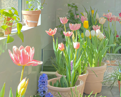 2024挣钱很难的朋友圈说说 花钱容易赚钱难的经典句子