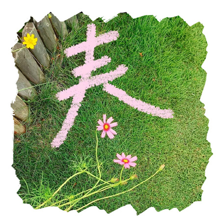 2024舒缓人心清新春季背景图亮眼 春风一吹头发丝都在开心