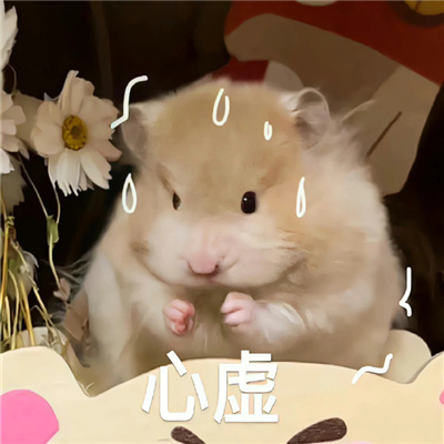 用来聊天会让对方开心的表情 如何套取富婆欢心