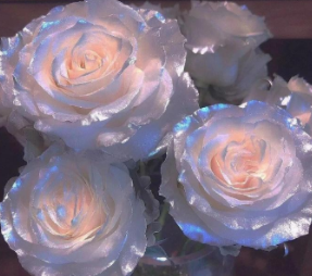 给那个不能在一起的写的短句 写给无法在一起的人伤感句子