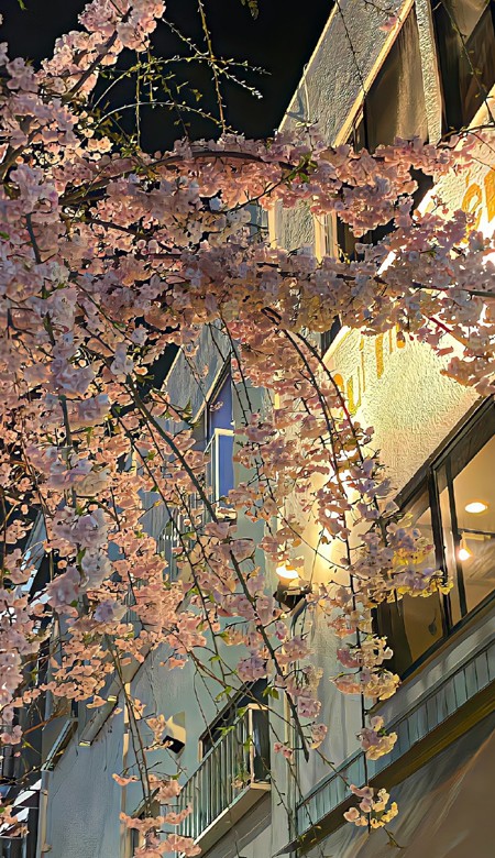 极度舒适又很亮眼的壁纸合集 谁不喜欢好看的手机壁纸呀