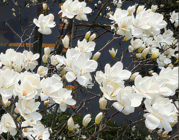 已经开始期待夏天的文案 期待夏日美好的语录