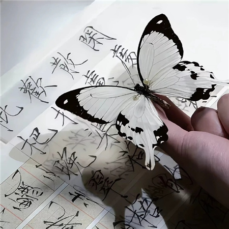 能上热门高级好看的配图 精美且干净的配图大全