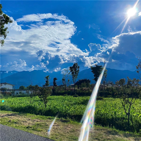 超适合你的氛围朋友圈背景图 很有格调的洋气配图合集