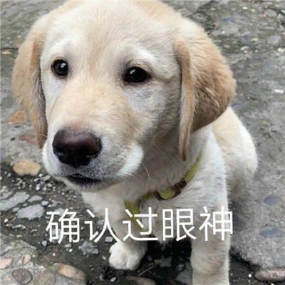 有梗又很幽默笑到窒息的表情 令人爆笑的表情大全