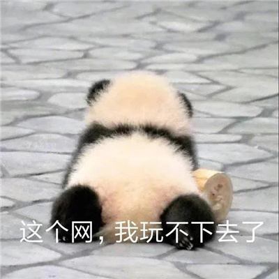 2024沙雕表情合集极度舒适 掐狐中自我抢救