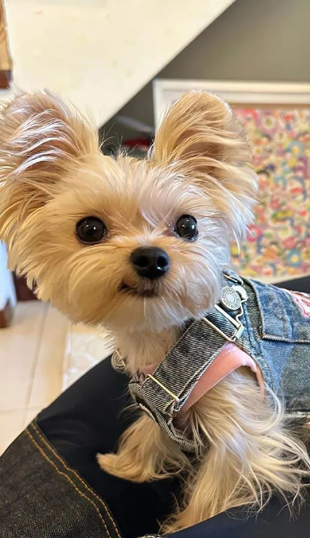 让眼睛放松的清新宝藏壁纸 养眼且舒心的壁纸