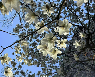 保持热爱奔赴山海的文案 总有人奔赴山海为你而来文案 保持热爱奔赴山海的文案 总有人奔赴山海为你而来文案