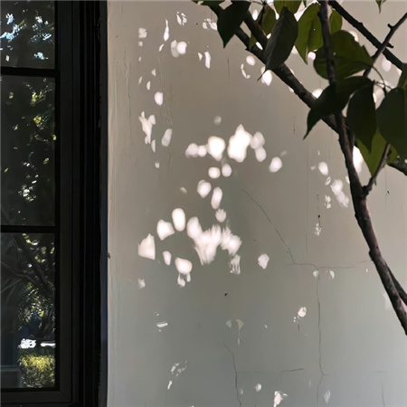 小众背景图ins美的很有质感 去散散步吧我们