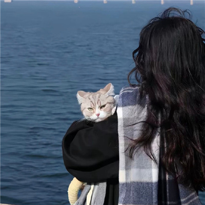 热门甜到骨子里的情头大全 好看的情侣头像要一起用