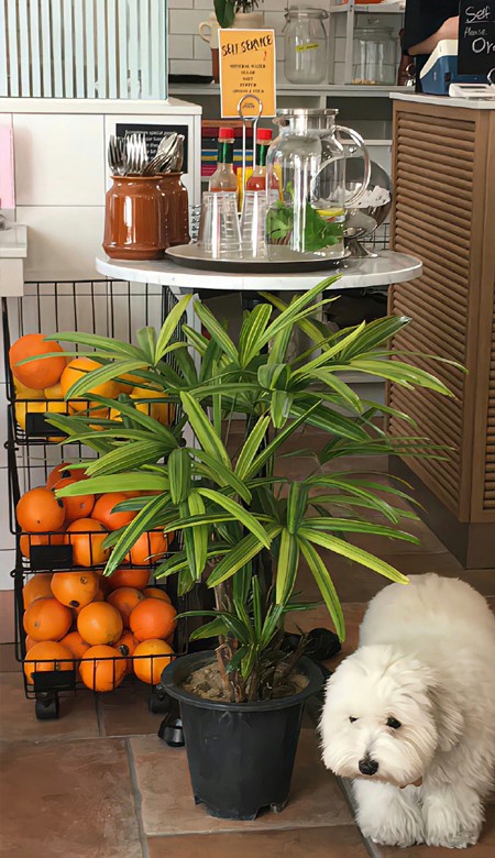 新版特色壁纸很高级独一无二 记忆是座荒岛