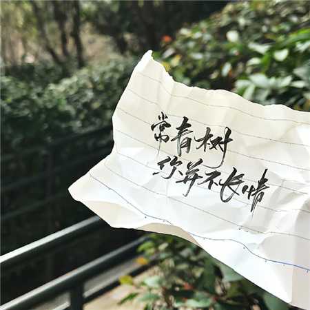 背景图很高端又很洋气罕见 常青树你并不长情