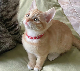 四月再见五月你好唯美说说 2024五月你好唯美短句 四月再见五月你好唯美说说 2024五月你好唯美短句