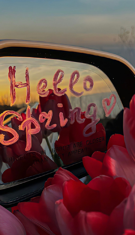 百用不厌的手机壁纸高级 值得一用的特别款壁纸大全