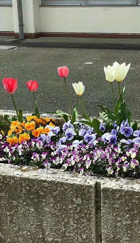 近期超爱的壁纸会心动超甜 一直都舍不得换的的壁纸大全