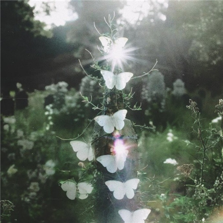 胶片电影感背景图超有意境美感 把快乐放进重点反复背诵