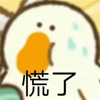 2024让你疯狂心动的表情 趣味满满又很好用的表情