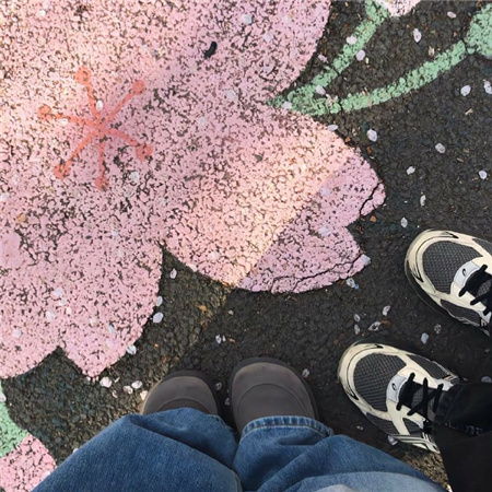 2024背景图有意境小众且绝美 充满仙气的配图很高级新版超爱