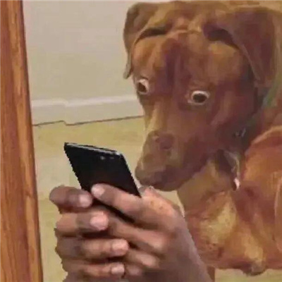 满满笑点的搞怪表情大全 爆笑全网的热门表情2024版