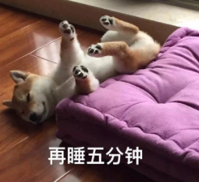 2024搞笑发疯网名大全 奇怪的创意好玩昵称