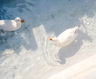 写给少年的浪漫励志文案 少年意气风发朝气蓬勃的文案 写给少年的浪漫励志文案 少年意气风发朝气蓬勃的文案