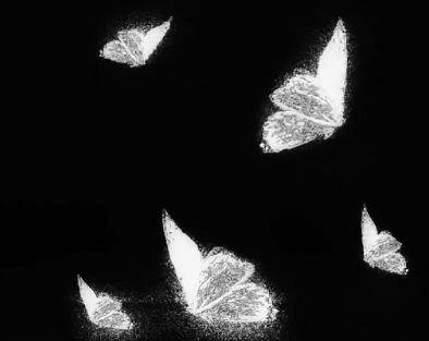 吵架直接让对方闭嘴的句子 一句话让对方哑口无言的文案 吵架直接让对方闭嘴的句子 一句话让对方哑口无言的文案