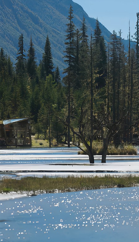 2024美的独特的全屏宝藏壁纸 超多小众又好看的壁纸