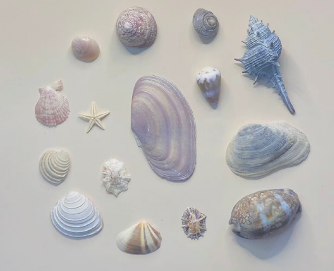 2024六月你好励志说说 六月你好温柔正能量语录 2024六月你好励志说说 六月你好温柔正能量语录