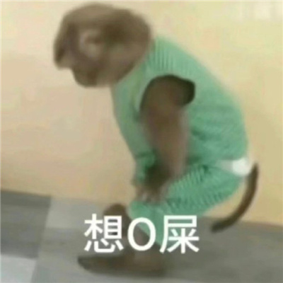 最近超爱的贱表情2024版 聊天必备的搞怪表情合集