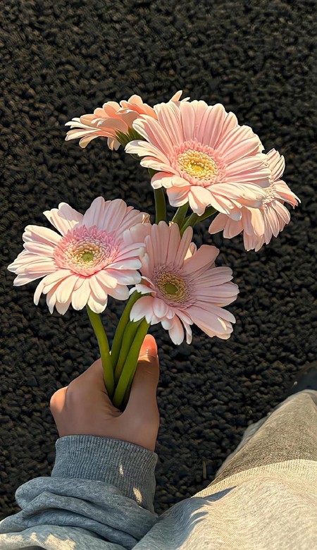 独特又好看的壁纸超美好 希望每个今天明天都很快乐