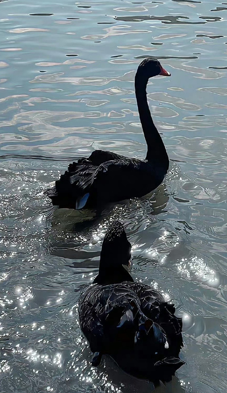 质感惊艳的壁纸超绝超出众  三观很重要但三餐更重要