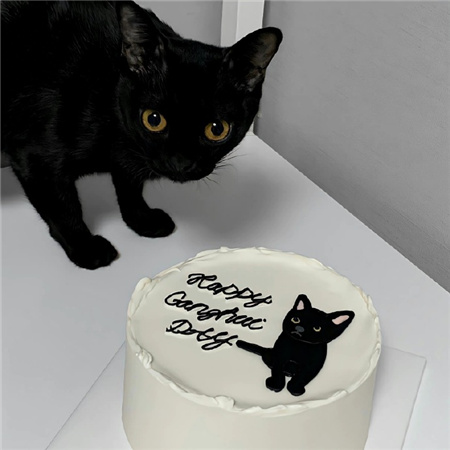 女孩子最爱用的配图 高级又出众的配图很好看