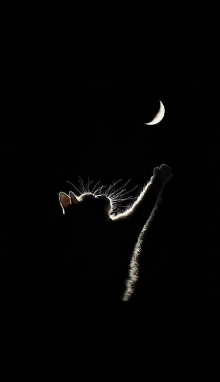 很神奇的锁屏壁纸黑色系 用了就知道的超棒壁纸