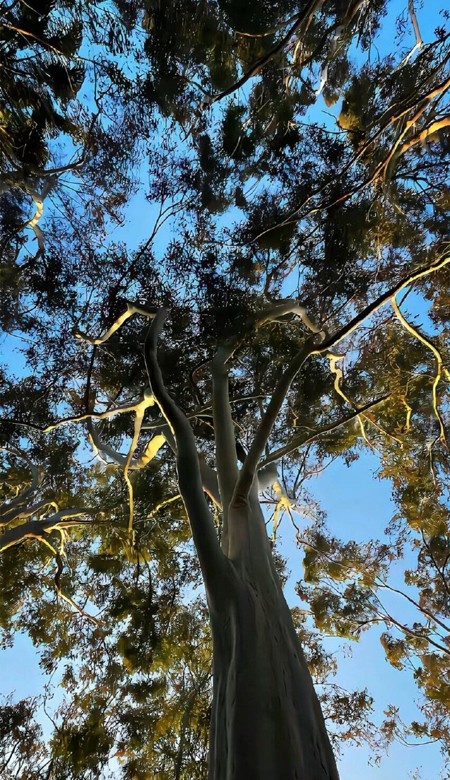 壁纸火爆全网又超绝温暖 治愈拥有好心情的壁纸