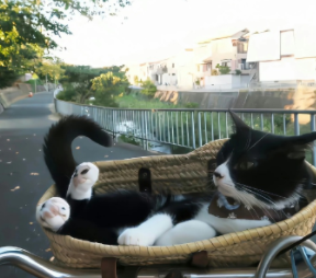 心力交瘁的说说发朋友圈 致很累很压抑自己的说说 心力交瘁的说说发朋友圈 致很累很压抑自己的说说