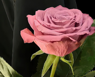 雨下个不停的优雅吐槽文案 吐槽连续下雨的说说 雨下个不停的优雅吐槽文案 吐槽连续下雨的说说